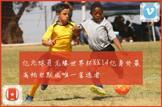 亿元球员无缘世界杯KK14亿身价最高帕尔默成唯一落选者