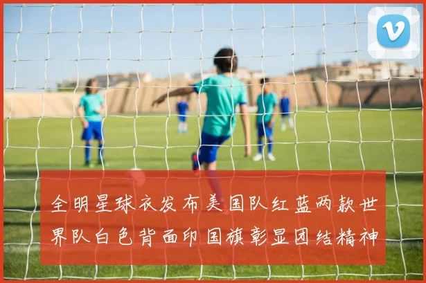 全明星球衣发布美国队红蓝两款世界队白色背面印国旗彰显团结精神