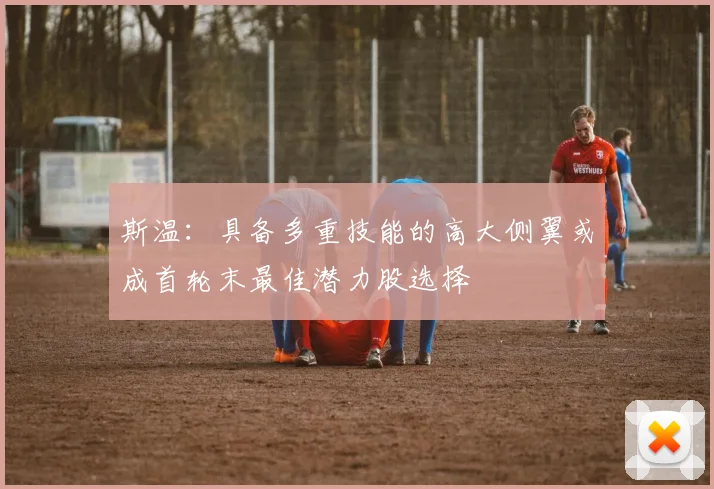 斯温：具备多重技能的高大侧翼或成首轮末最佳潜力股选择