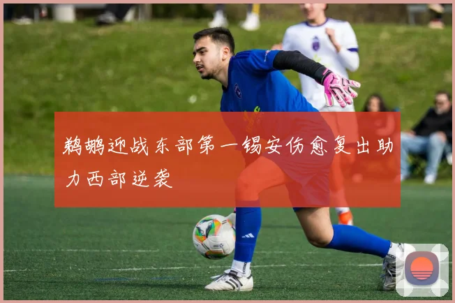 鹈鹕迎战东部第一锡安伤愈复出助力西部逆袭